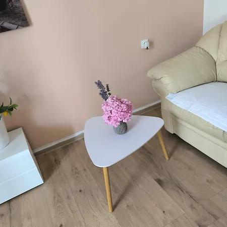 Tea Apartment Tribunj (Sibenik-Knin)